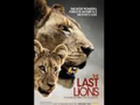 The Last Lions