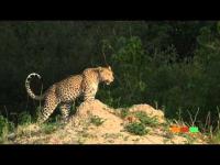 Welcome to Botswana: Okavango